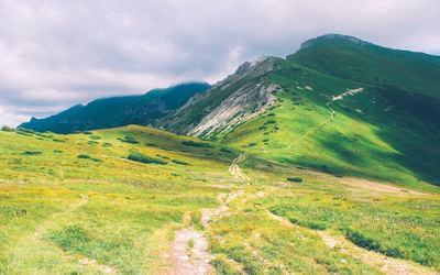 Green Pasture