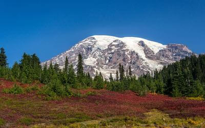 Snowy Mountains